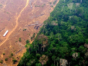 caption: View of a deforested and burned area of the Amazon rainforest in northern Brazil on Sept. 2, 2022.