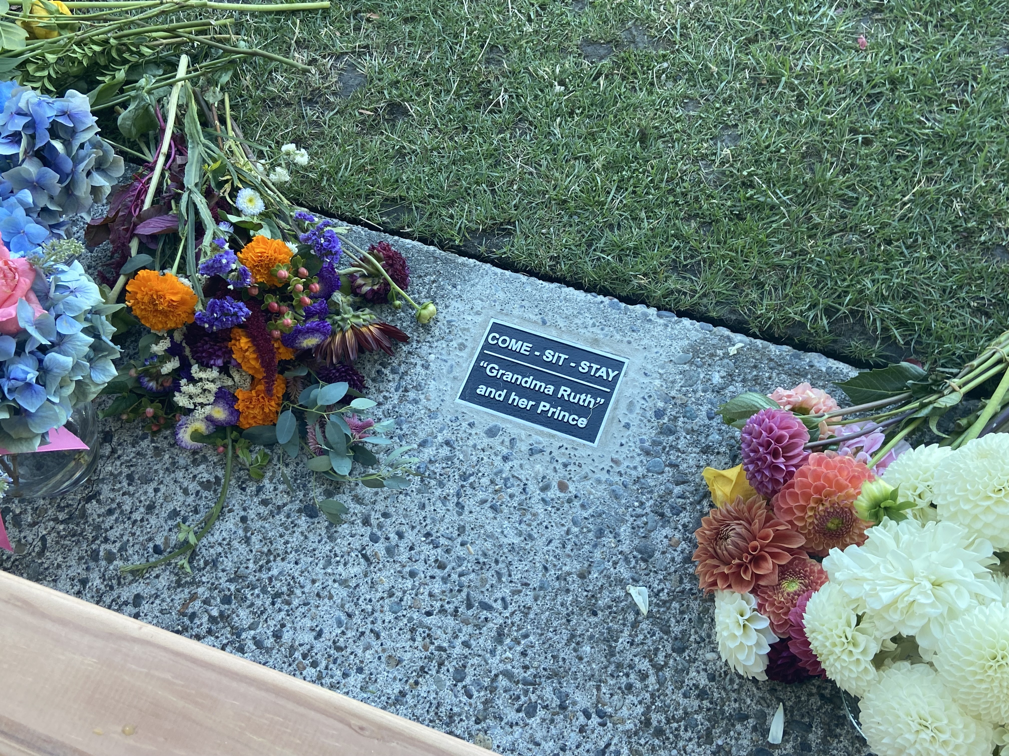 caption: Beneath the benches honoring Ruth Dalton and her dog Prince, a plaque commemorates the commands Dalton would give to the dogs she adored. 
