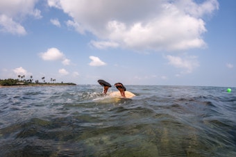 caption: Thangamma, about 80 years old, dives in to gather seaweed.
