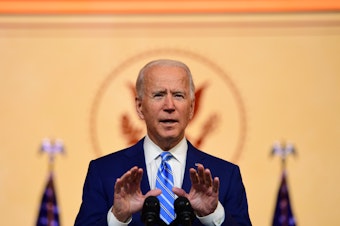caption: President-elect Joe Biden delivers a Thanksgiving address Wednesday in Wilmington, Del.