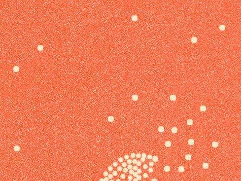 Wintering, by Katherine May