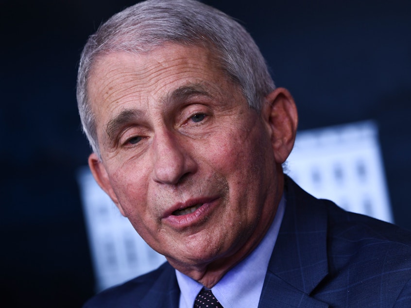 caption: Director of the National Institute of Allergy and Infectious Diseases Anthony Fauci speaks during a White House Coronavirus Task Force press briefing at the White House last month.