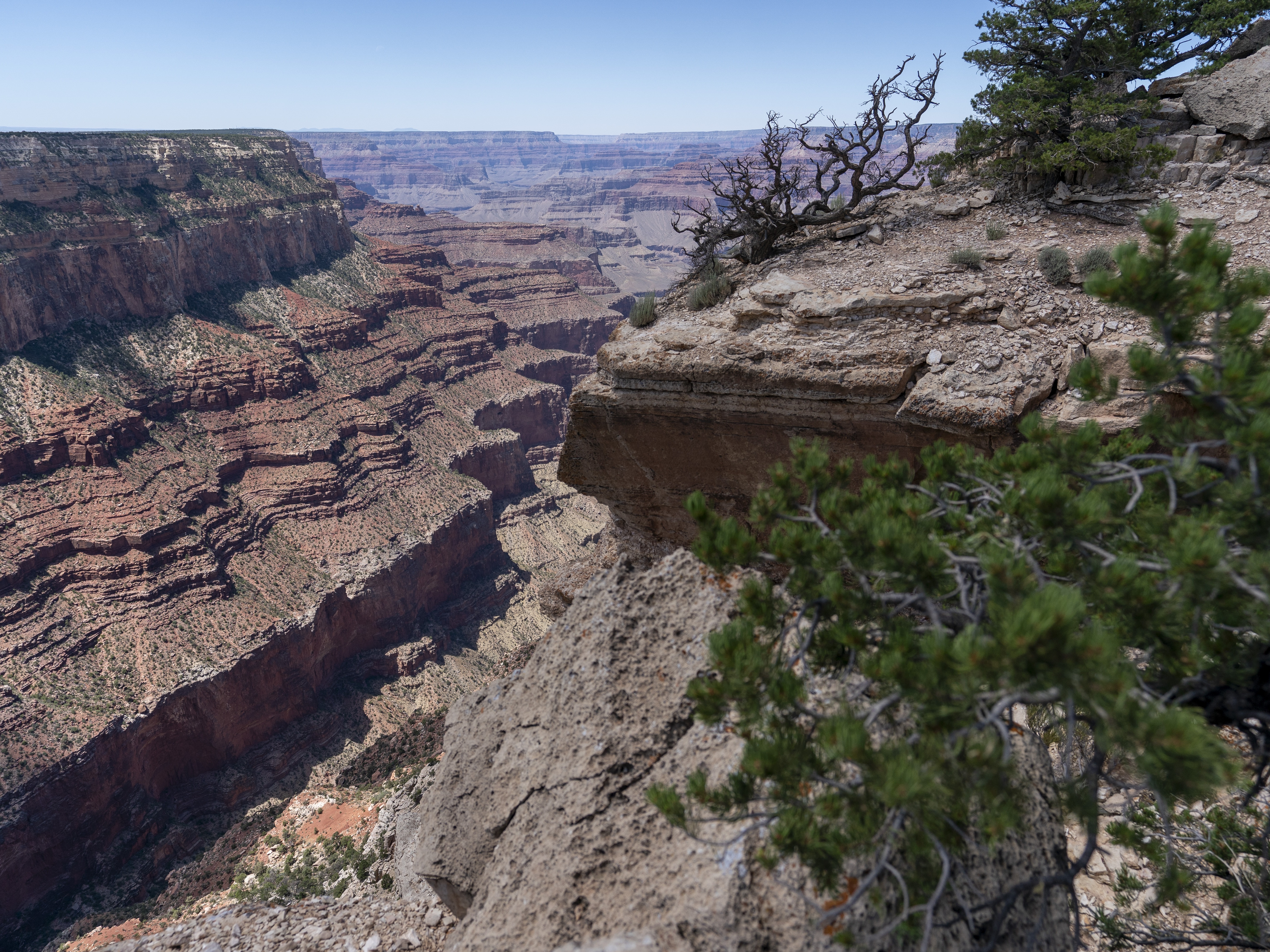 caption: The South Rim of Grand Canyon National Park is seen in Grand Canyon Village, Ariz., Aug. 8, 2023.