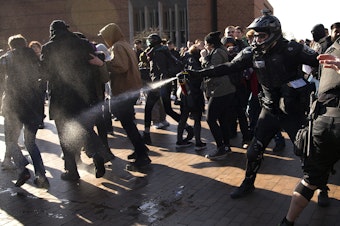 caption: A police officer pepper sprays a group of protesters on Saturday, Feb. 10, 2018, outside of a College Republicans rally at Red Square on the University of Washington campus in Seattle.