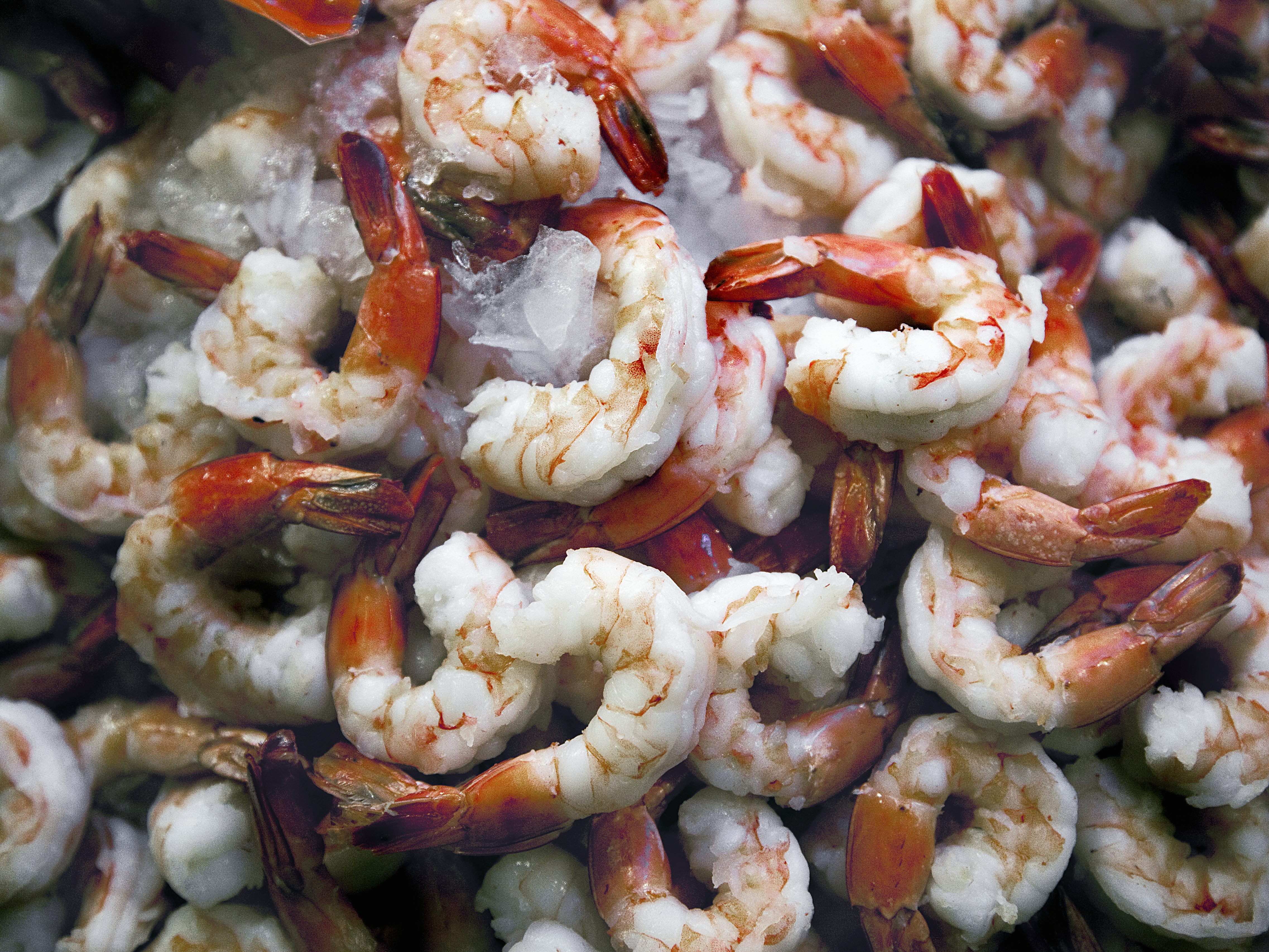 caption: The FDA recently expanded a recall of frozen shrimp products from Avanti Frozen Foods.
