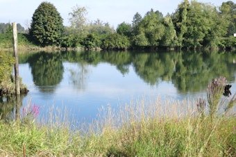 caption: The Snohomish River, outside Everett, is an example of a junction where local impacts of climate change will collide. 