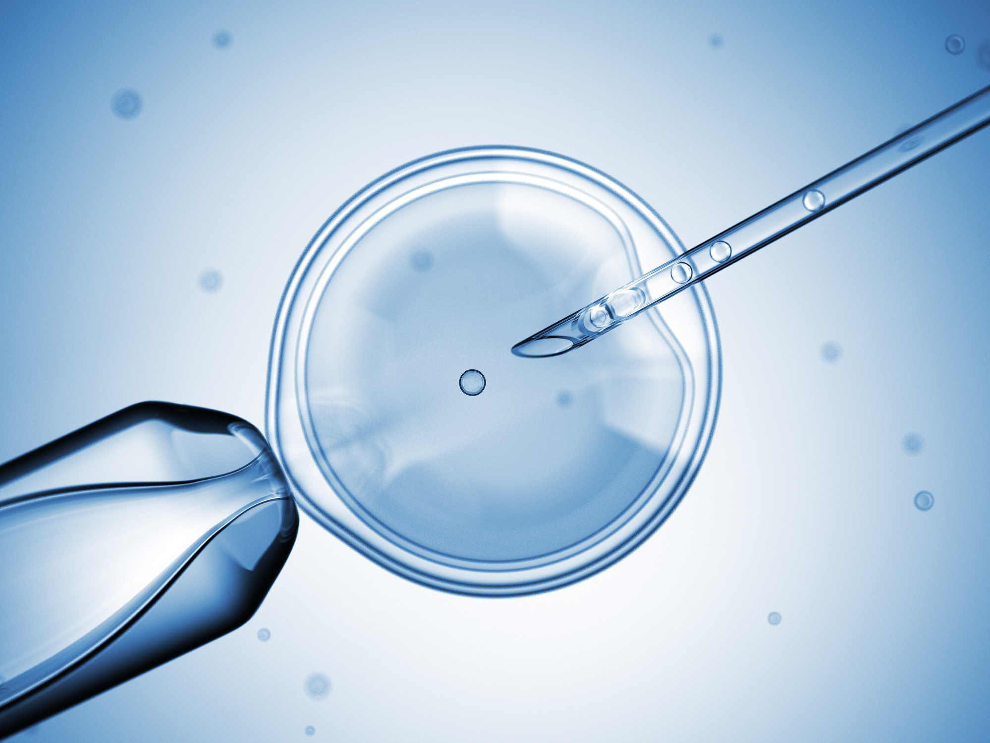 caption: As scientists learn more about how the complex way genes combine and work together to create human traits, the idea of "designer babies" becomes less and less likely.