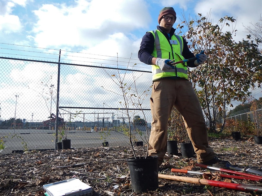 caption: Sean Walters of Earthcorps' safety talk for volunteers restoring a salt marsh at the Port of Tacoma included tool use and avoiding the rare West Nile virus.