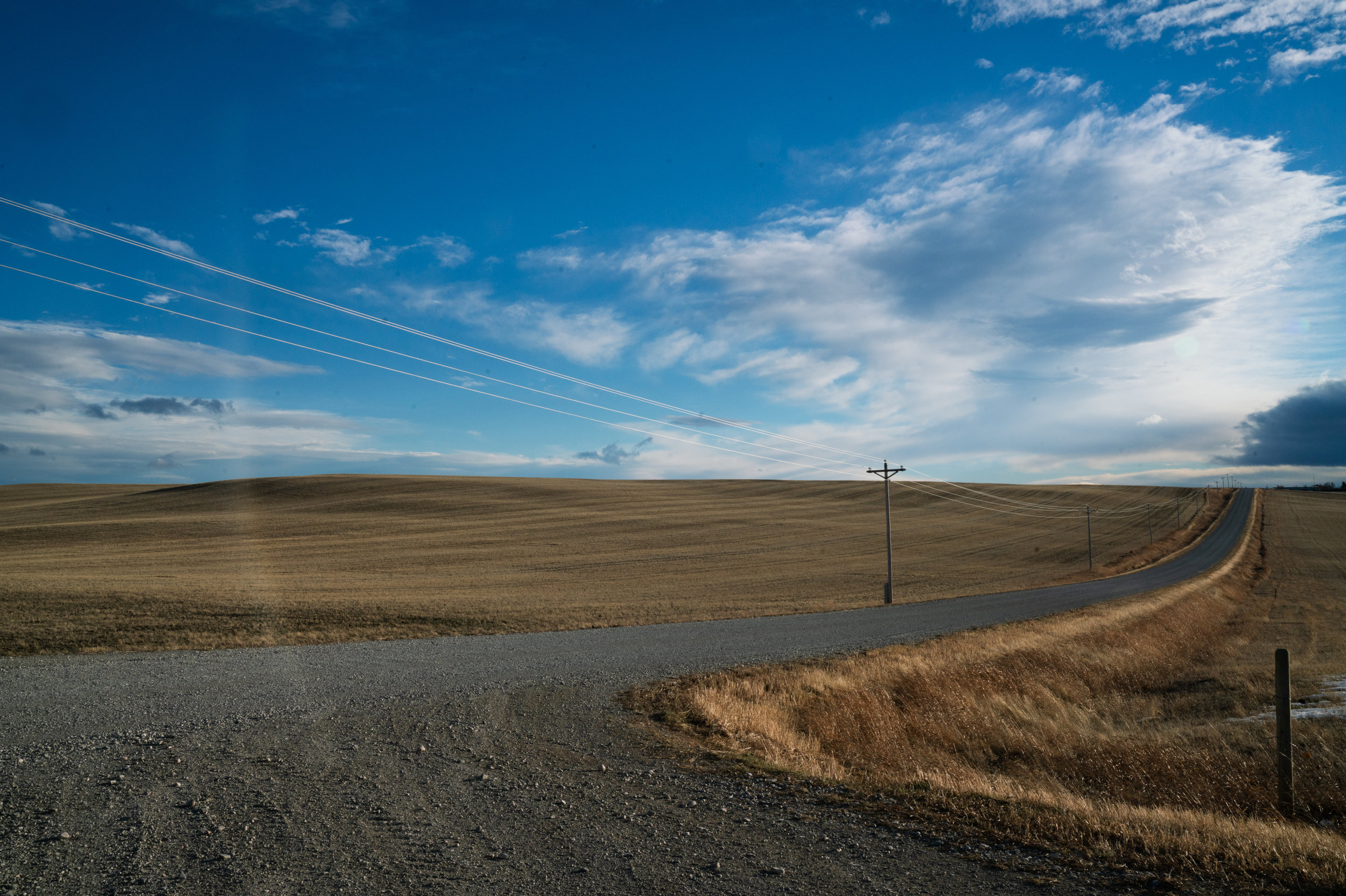 caption: An estimated 900 lb grizzly was captured by the FWS last year after being scared into a garage in a Hutterite community near Valier, Mont.