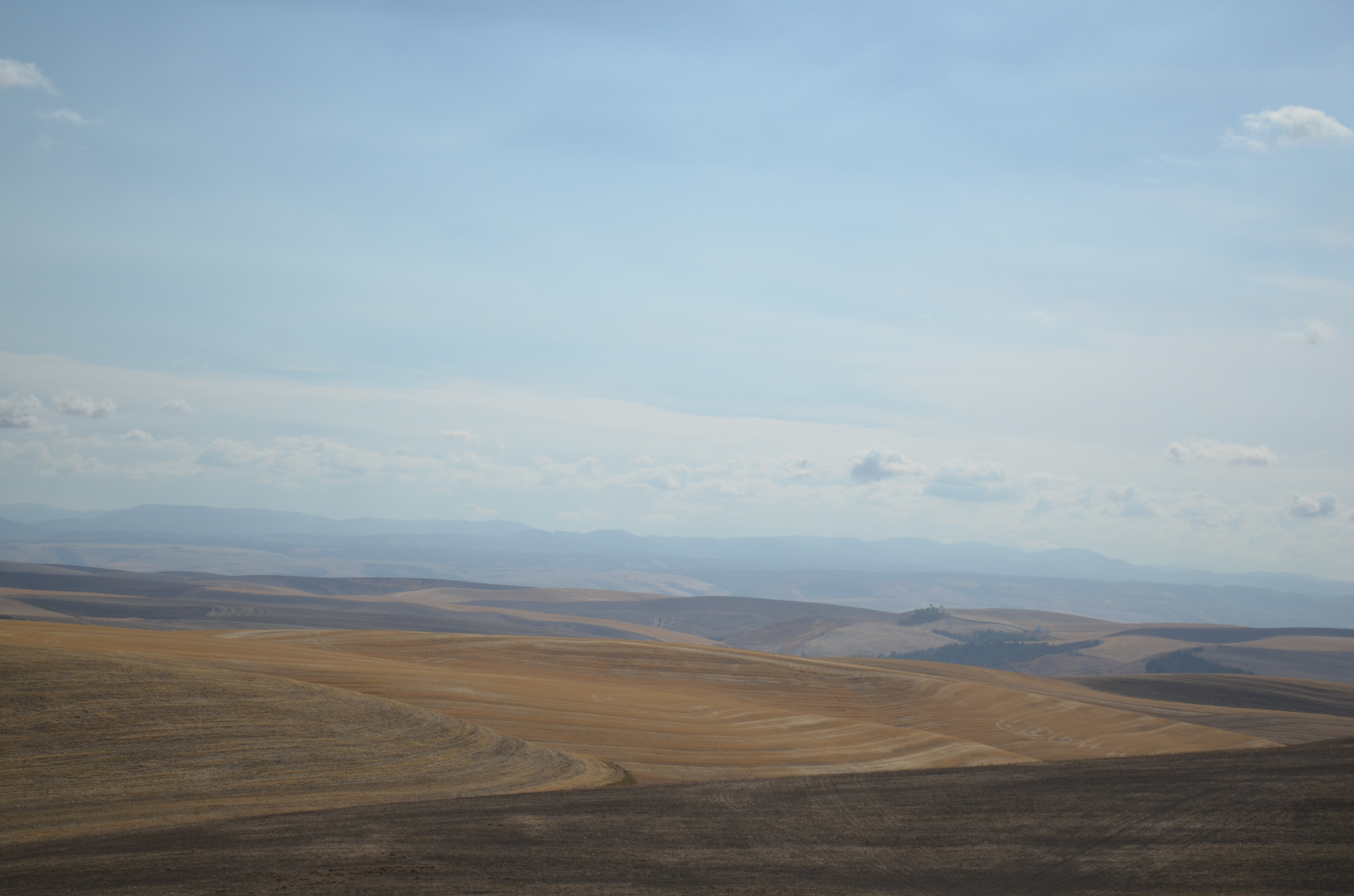 caption: Dayton, Washington, is located in the state's wheat-growing Palouse region. In the fall, the hills just outside town are covered with freshly-harvested wheat fields.