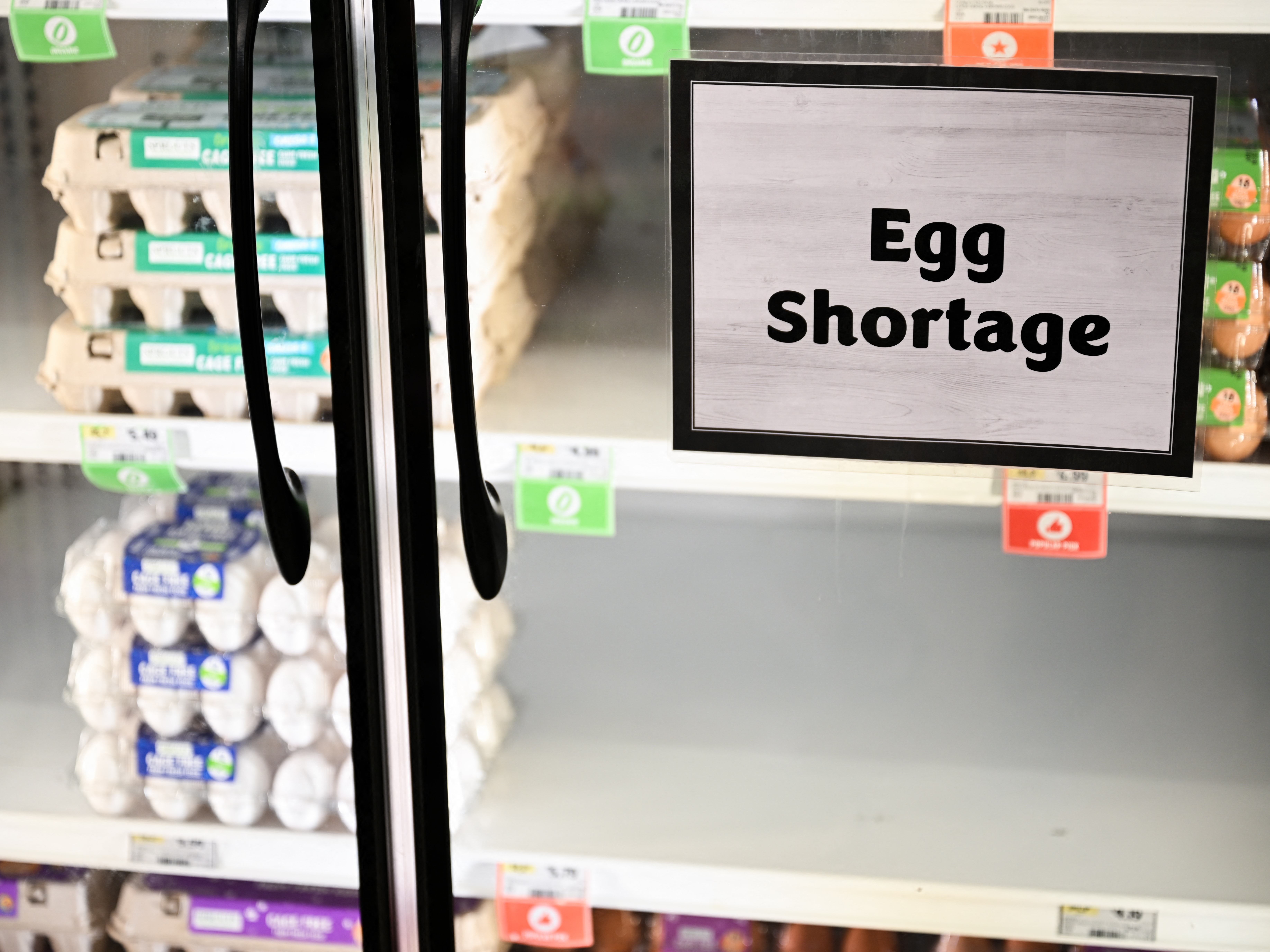 caption: A grocery store in Lawndale, Calif., runs short on eggs on Jan. 2. Egg prices in the U.S. have soared to record highs as avian flu and efforts to contain it have killed millions of egg-laying chickens. But just across the border in Canada, eggs remain plentiful and affordable.