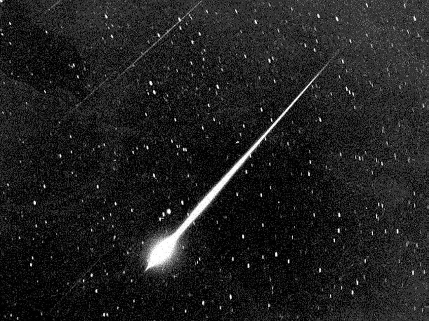 caption: A Leonid fireball is shown during the storm of 1966 in the sky above Wrightwood, Calif.