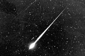 caption: A Leonid fireball is shown during the storm of 1966 in the sky above Wrightwood, Calif.