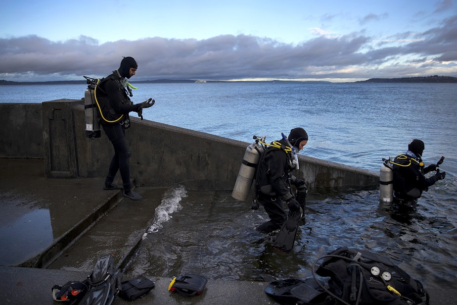 caption: Divers with the Divers Institute of Technology working toward certification walk into the water for their first day of open water diving on Tuesday, November 27, 2018, during a King Tide at Alki Beach Park in Seattle. 