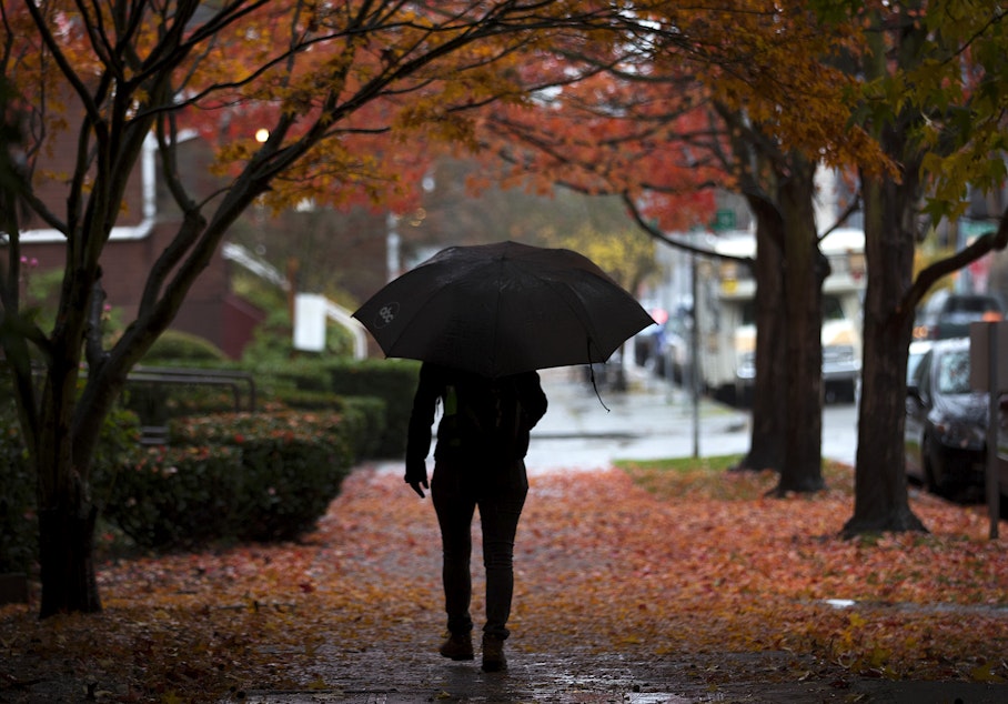 caption: A pedestrian walks in the rain on Tuesday, November 21, 2017, near the intersection of 22nd Ave. and 58th St., in Seattle. 
