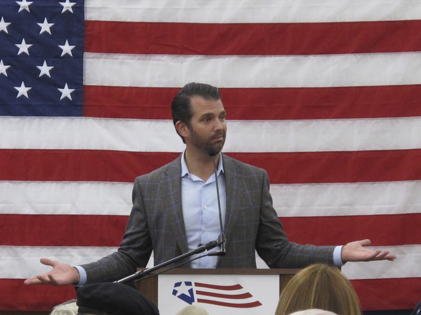 caption: Donald Trump Jr. did not go into detail on what President Trump had advised. Asked last year for details by the BBC, Prime Minister Theresa May said, with an amused expression: "He told me I should sue the EU."