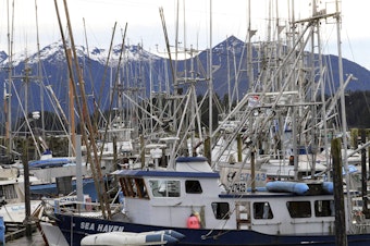 caption: This Jan. 20, 2014 file photo shows masts rising from fishing vessels in Sitka, Alaska, partially blocking the view of mountains. 