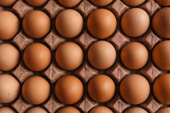 eggs generic