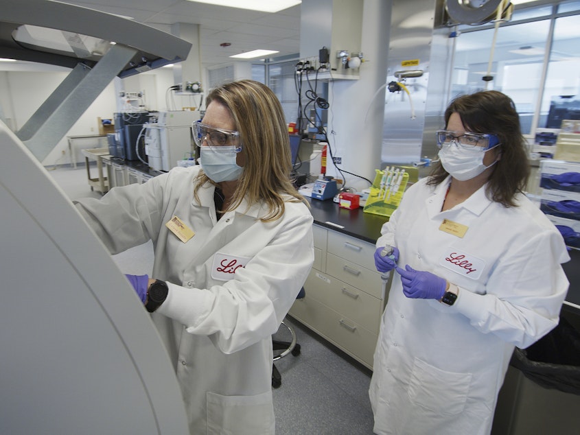 caption: Eli Lilly researchers prepare cells to produce possible COVID-19 antibodies in a laboratory in Indianapolis. The drugmaker has asked the U.S. government to allow emergency use of its experimental antibody therapy.