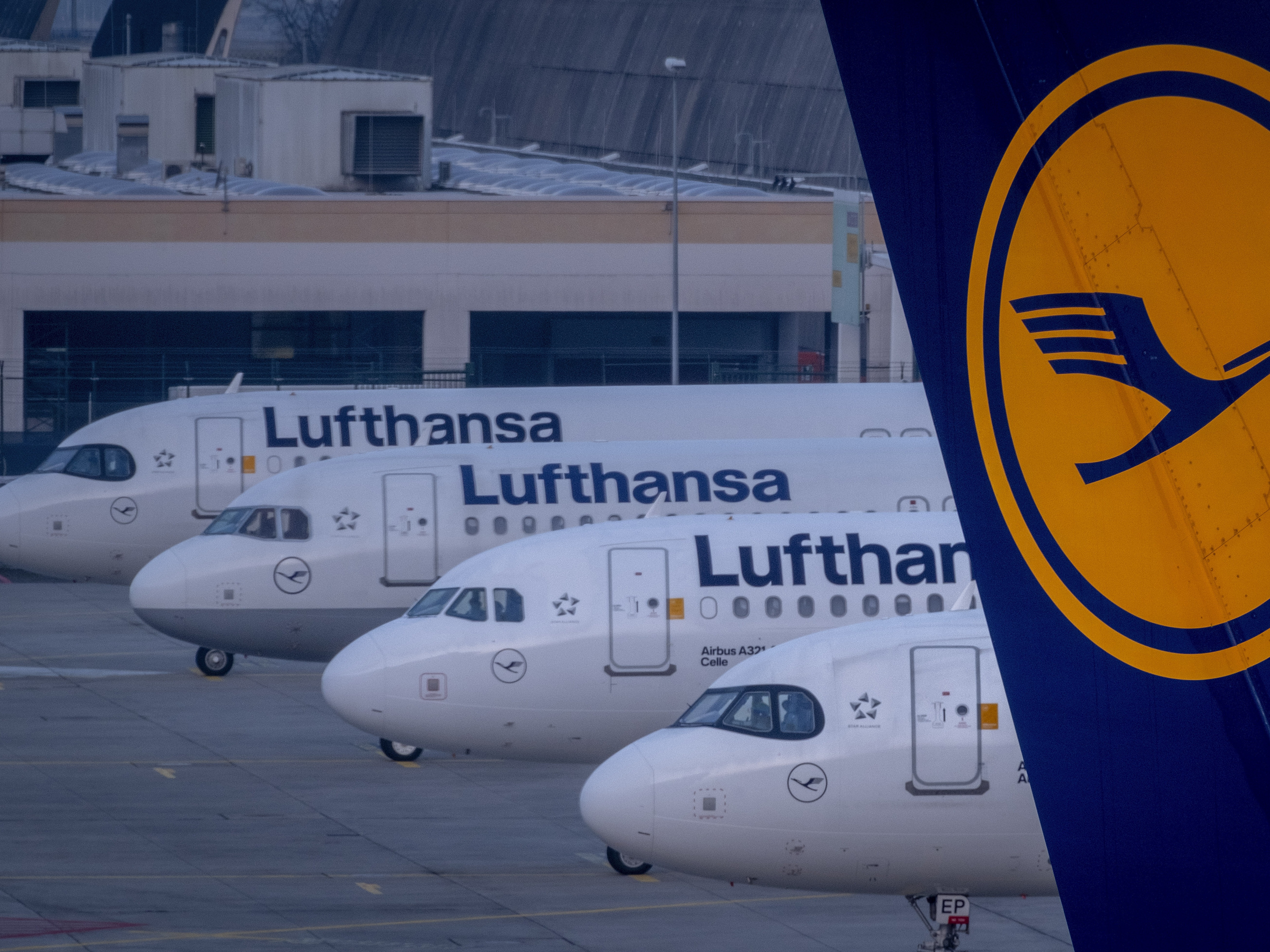 caption: Lufthansa aircraft are pictured in Frankfurt, Germany, in March. The airline has agreed to pay a $4 million civil rights penalty by the U.S. Department of Transportation.