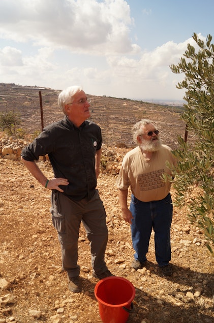 caption: Craig Corrie picking olives with a member of the October 2021 Interfaith Peace Builders olive harvest delegation to Israel and the West Bank. The group has since changed its name to Eyewitness Palestine.