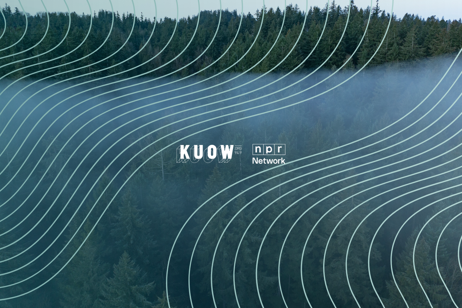 Winter Drive Campaigns Moby Header 2x