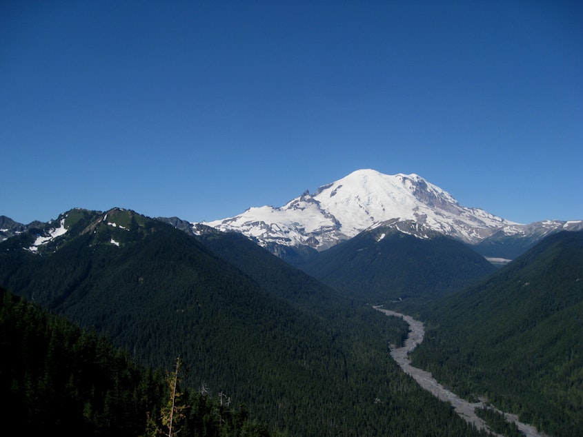 caption: White River starts on Mount Rainier where it picks up a lot of sediment that can lead to flooding downstream.