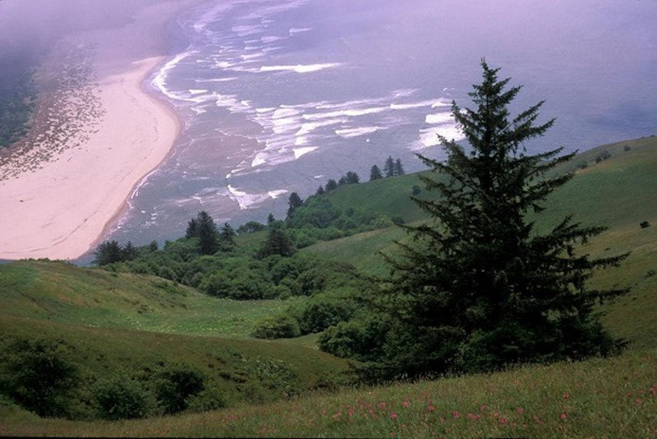 caption: <p>The view from Cascade Head Overlook on the Oregon Coast.</p>