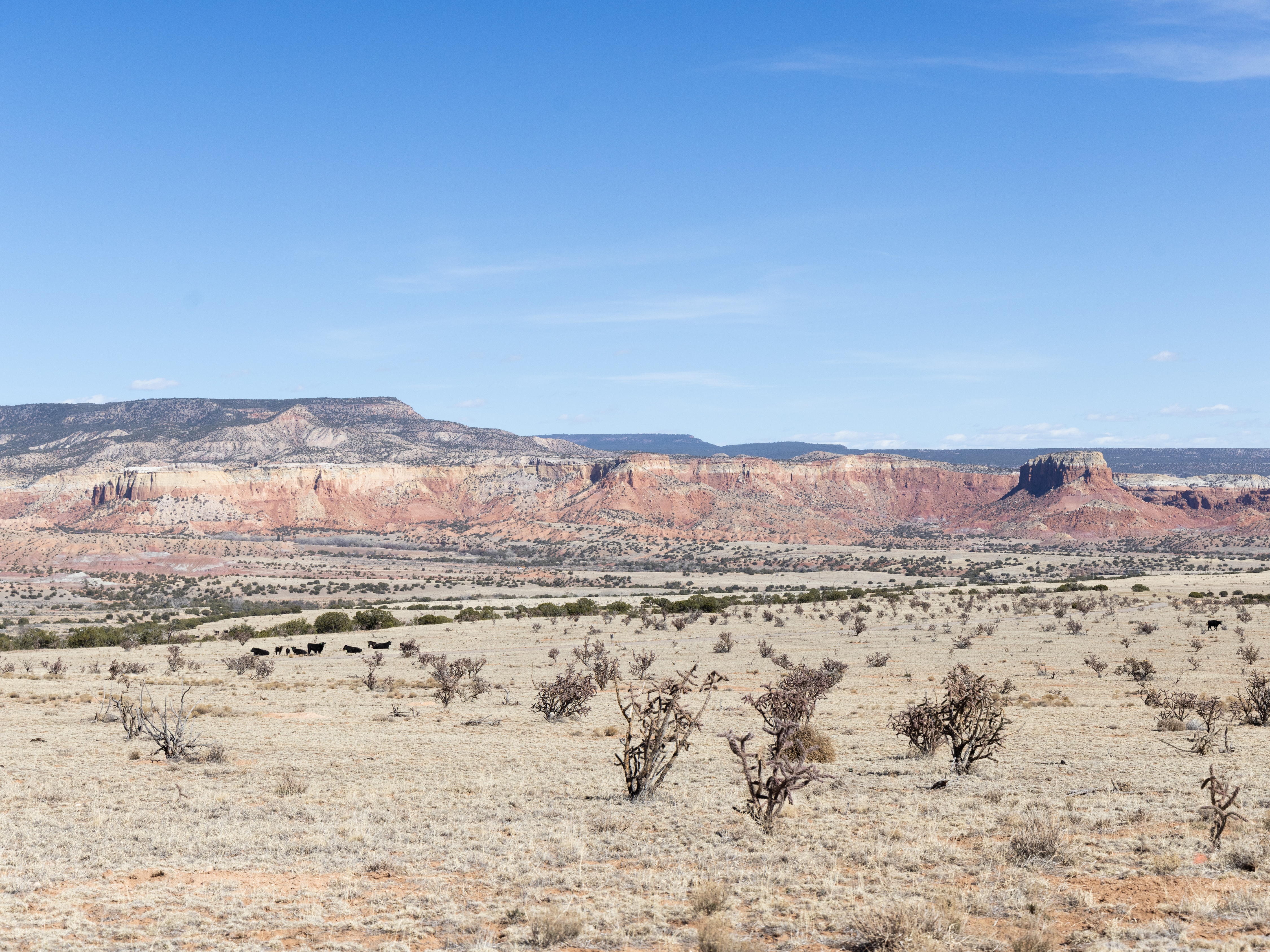 caption: A view (looking east) of Ghost Ranch near Abiquiu, New Mexico, on March 11, 2026.