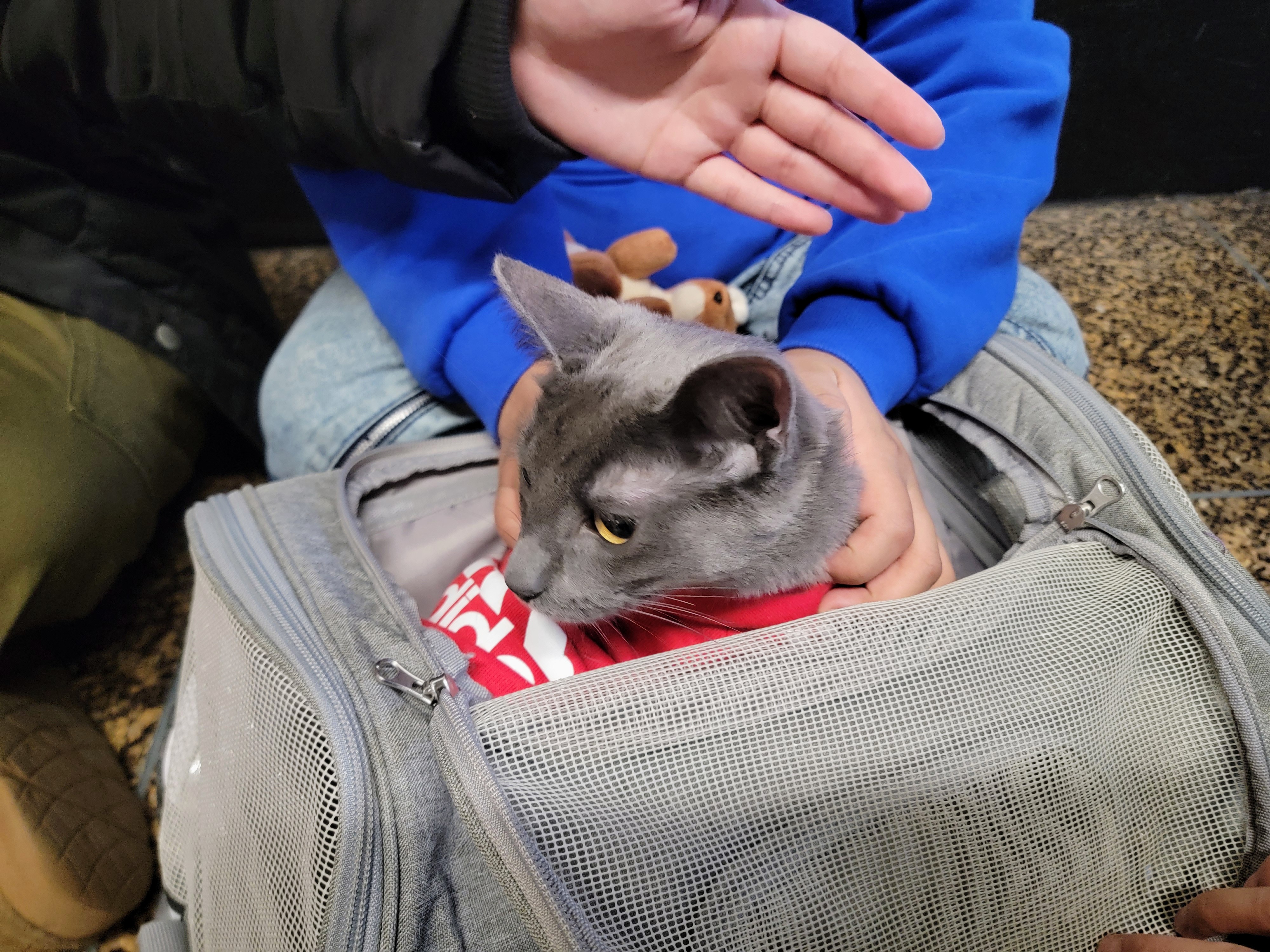 caption: Diland and his little sister love playing with their cat, Luna, who was with them at the airport on Wednesday, Jan. 7, 2026.