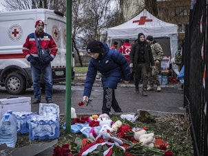 caption: A boy lays a flower at the scene of a helicopter crash crash in Brovary, Ukraine, where at least 14 people died, including Ukraine's interior affairs minister Denys Monastyrsky.
