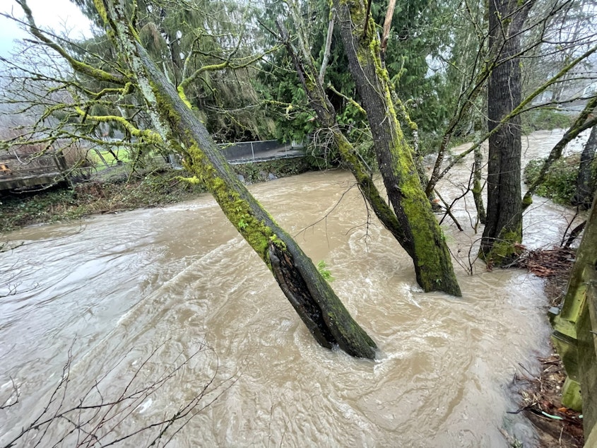 caption: Floodwaters at Issaquah Creek on Friday, January 7, 2022.