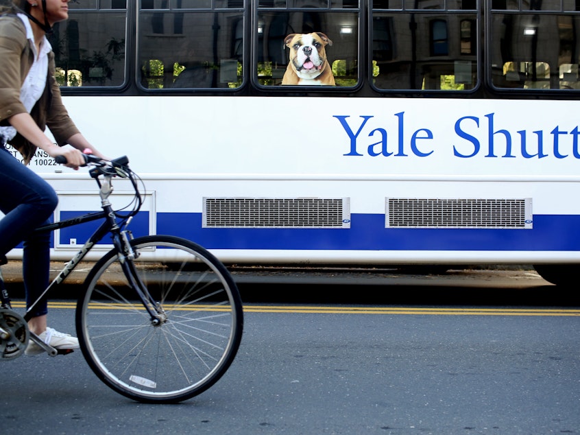 caption: A former Yale University administrator has pleaded guilty to a years-long scheme of stealing electronics ordered for the university and reselling the items. Here, a shuttle drives students around Yale's campus.