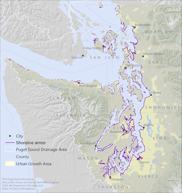 caption: 29 percent of Puget Sound's shores have been armored--walled off from the tides.