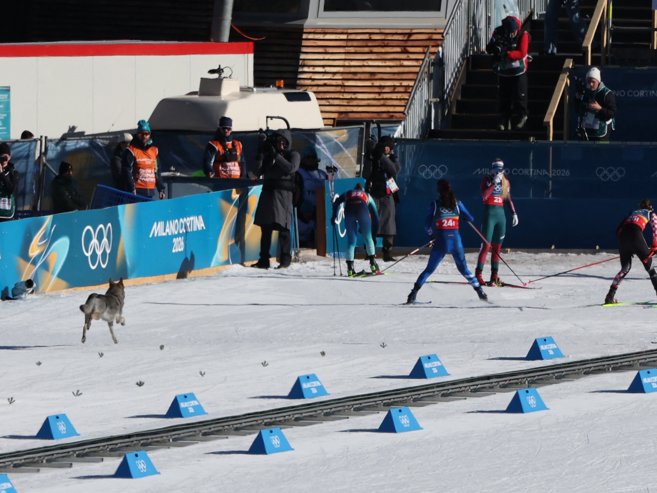 caption: A dog later identified as a local named Nazgul sprints across the snow at the Winter Games.<br>