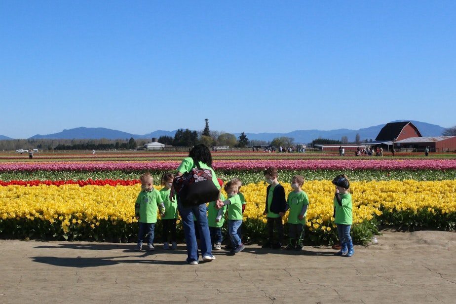 caption: Visitors to TulipTown during the Skagit Valley Tulip Festival in April, 2021