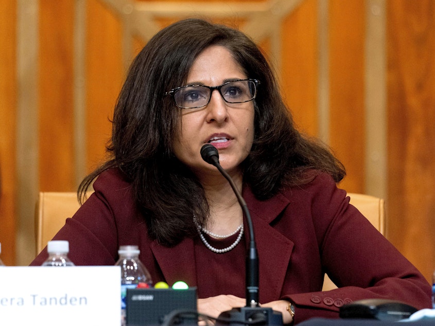 caption: Neera Tanden testified during a Senate Committee on the Budget hearing on Capitol Hill on Feb. 10.