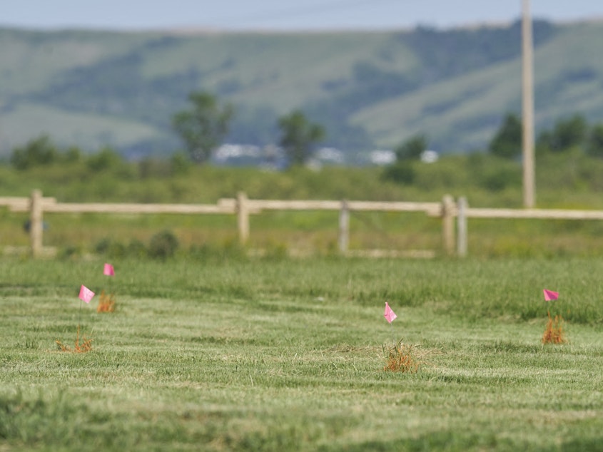 caption: Flags mark the spot where the remains of over 750 children were buried on the site of the former Marieval Indian Residential School in Cowessess first Nation, Saskatchewan, June 25, 2021. More than 750 unmarked graves have been found near a former Catholic boarding school for indigenous children in western Canada.