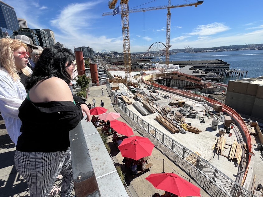 Construction of Overlook Walk from above