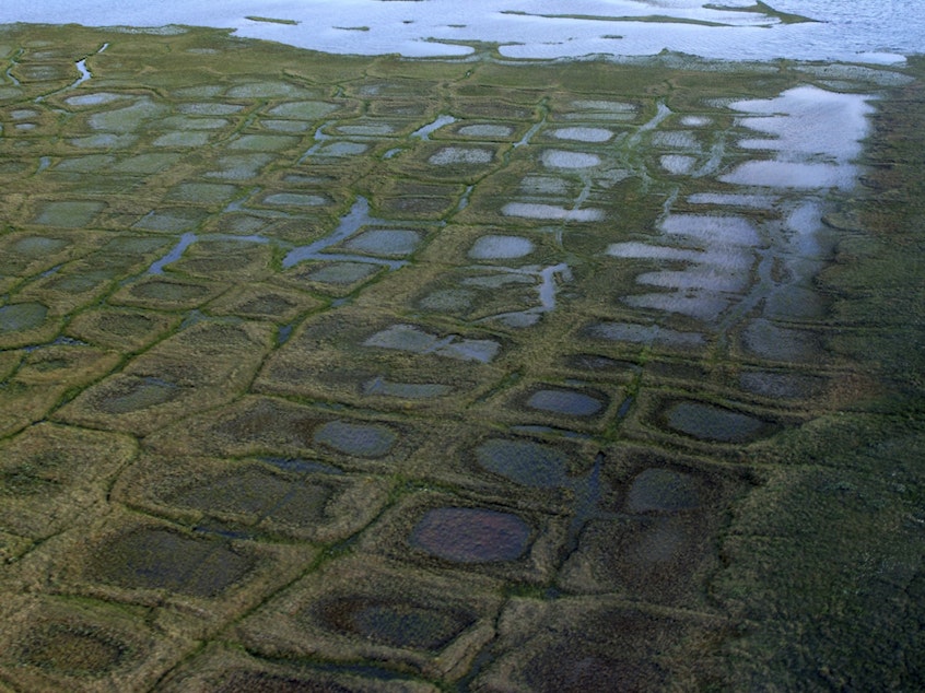 caption: In this undated photo provided by the United States Geological Survey, permafrost forms a grid-like pattern in the National Petroleum Reserve-Alaska, managed by the Bureau of Land Management on Alaska's North Slope.