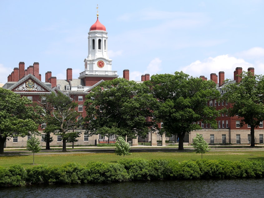 caption: Harvard University, shown here, and the Massachusetts Institute of Technology sued the Trump administration over a rule change that would have barred international college students from taking online course loads in the U.S. In court on Tuesday, a judge announced the government would rescind the directive.