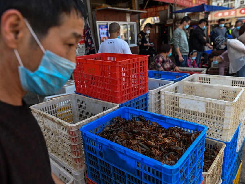 caption: The Wuhan Baishazhou Market in Wuhan in China's Hubei province, shown last week. China's wet markets have come in for criticism after one was identified as the likely source of the novel coronavirus.