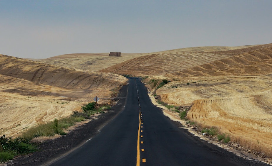 caption: A road through Eastern Washington near Walla Walla. 