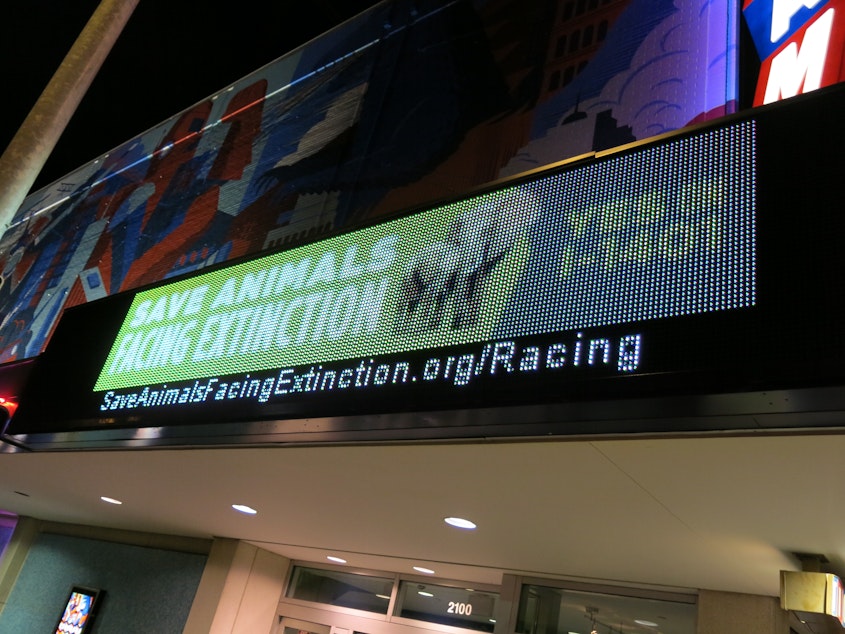 caption: Cinerama preview of "Racing Extinction" raised money for Initiative 1401.