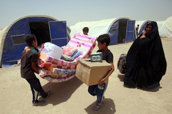 caption: Iraqis displaced from the city of Fallujah collect aid distributed by the Norwegian Refugee Council, which has been awarded this year's $2.5 million Conrad N. Hilton Humanitarian Prize.