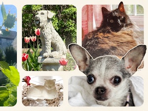 A collage of our audience members' beloved pets and their memorials to their animal companions. Clockwise from top left: Mena Bingham's sunflower garden for her cat Sara; a statue to honor Beth Fadely's dog, Bella; Linda Smith's cat Holly; Sheryl Bauerschmidt's dog Birdie; a glass cat figurine in the bay window where Marie Hernandez's cat, Fina, used to sit.