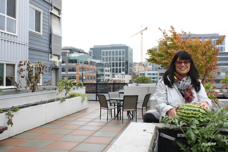 caption: Low Income Housing Institute Director Sharon Lee shows off a watermelon grown by one of the tenants at the Denny Park Apartments.