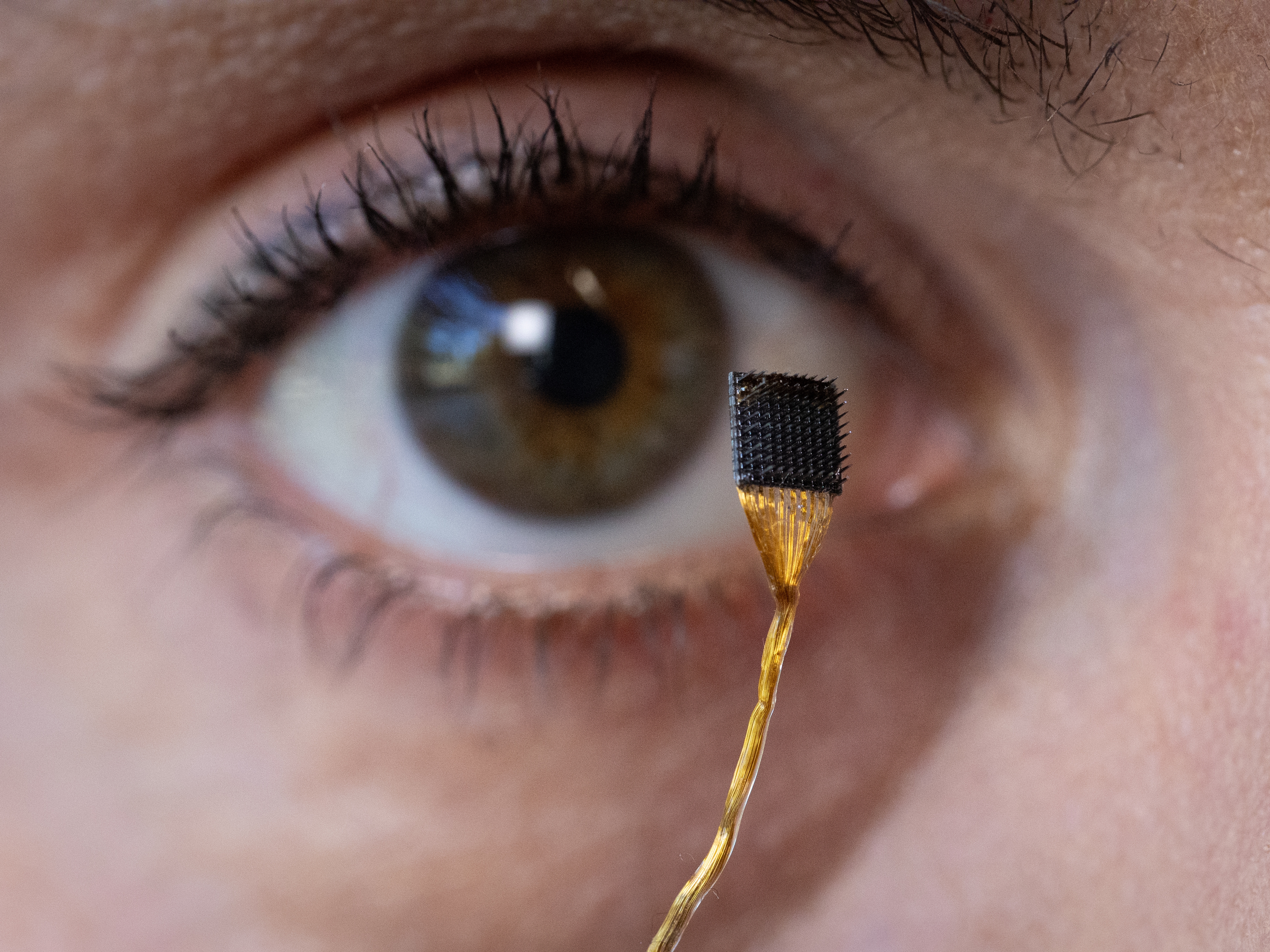caption: Postdoctoral researcher Erin Kunz holds up a microelectrode array that can be placed on the brain's surface as part of a brain-computer interface.