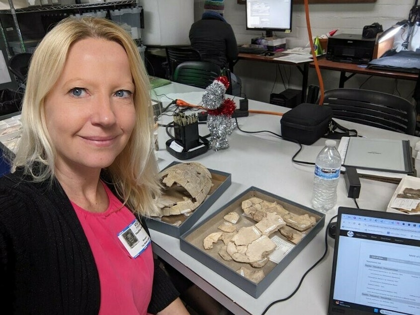 caption: As an evolutionary anatomist, Heather Smith studies the fossil record of extinct species.
