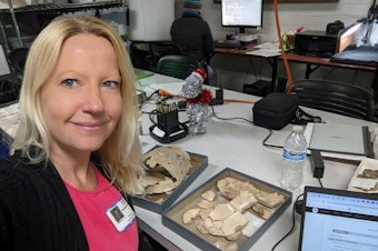caption: As an evolutionary anatomist, Heather Smith studies the fossil record of extinct species.